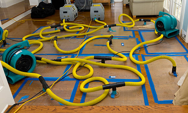 Professional Basement Flood Cleanup technician working in Hatfield, MA
